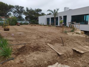 Projecto Abuxarda